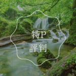 特Pの評判は？口コミと注意点を解説